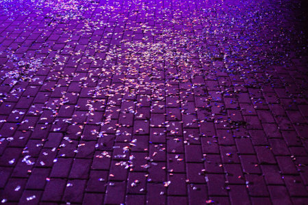 Stone paving texture. The pavement of granite stone.