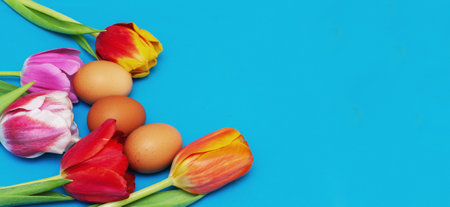 Space for text. Red tulips with natural eggs on a blue background.