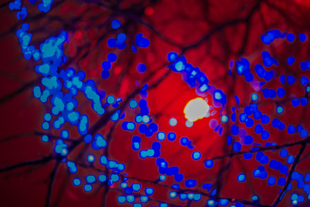 Blue electric lights hanging on the tree and giving a festive atmosphere at night.の写真素材