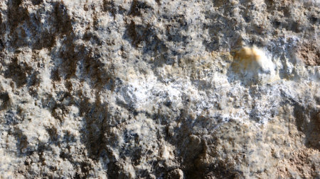Natural wall made of rough stone. The surface of an old, rough, relief wall made of natural stone.