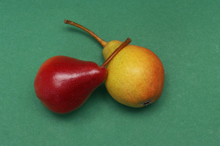 Red and yellow pears on a green paper background..の写真素材
