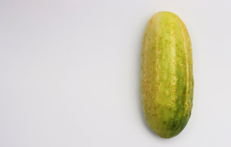 Overripe cucumber on a white background. Old cucumber on a paper background.の写真素材
