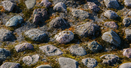 Background from old stones and moss.