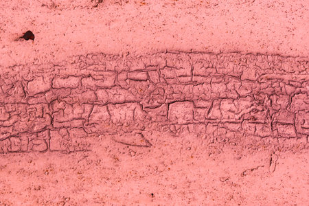 Abstract red colorful background with grunge texture.