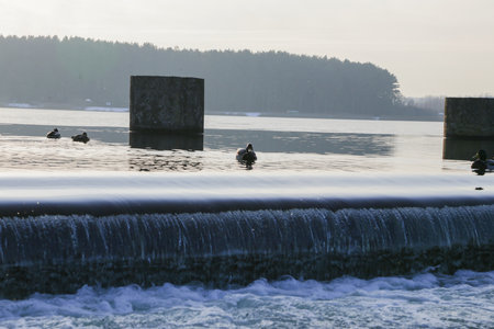 Lake with dam and water stream.の写真素材