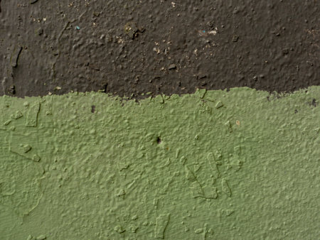 Texture background of two tones: green and light green with a minimal concept.の写真素材