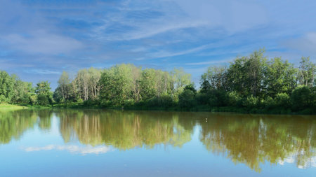 Panoramic view of the river and forest on a sunny dayの写真素材