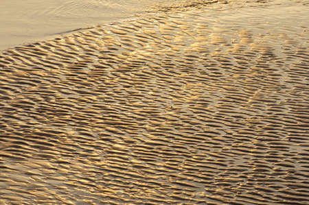 A photo of sand in the beachの写真素材