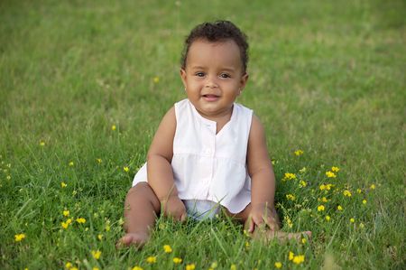 adorable happy  on the green grassの写真素材