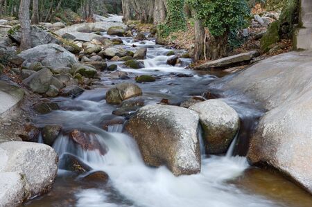 a photo of a water torrent in the forestの写真素材
