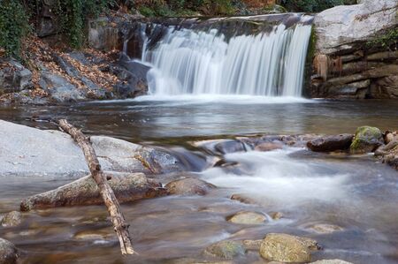 a photo of a water torrent in the forestの写真素材