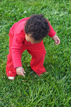 Adorable  playing on the green grassの写真素材