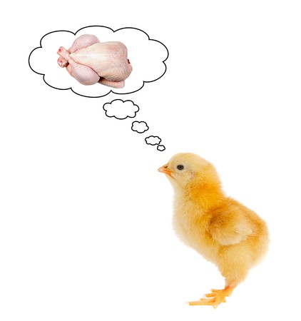 Yellow chick scared thinking about their future isolated over whiteの写真素材