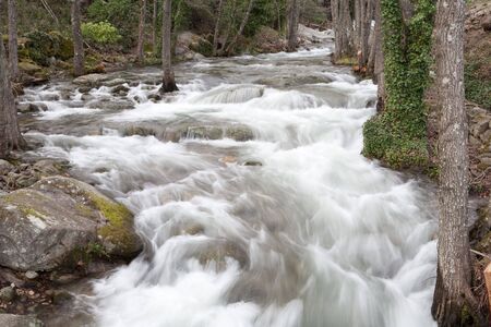 Beautiful landscape with water torrent in middle of the forestの写真素材