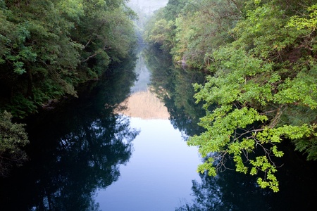 Beautiful scenery of a river with lots of vegetation aroundの写真素材