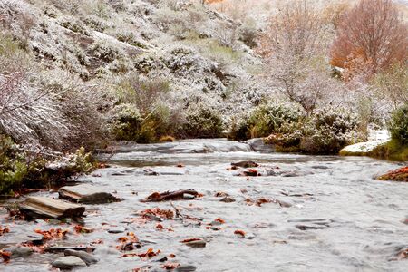 Nice snowy forest with a river in autumnの写真素材