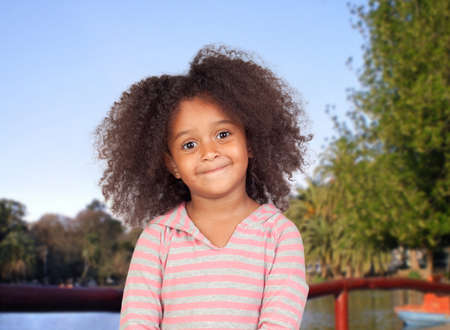 Adorable african little girl with beautiful hairstyle in the parkの写真素材
