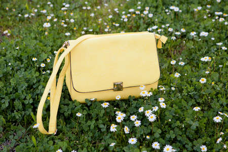 Fashion yellow bag on the grass surrounded by daisiesの写真素材