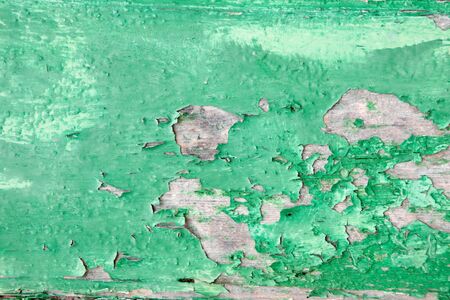 Old wood surface with green paint wornの写真素材
