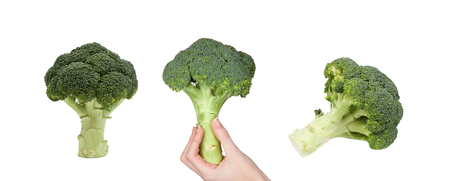 Broccoli. Healthy deep green vegetable isolated on white backgroundの写真素材