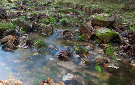 Creek with stones and leaves in autumnの写真素材