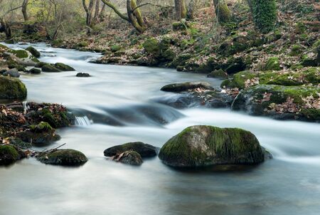 Beautiful autumn landscape with a river surrounded by treesの写真素材
