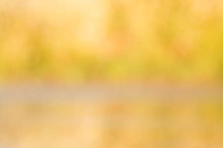 Abstract natural backgrounds grass in gold for wallpaperの写真素材