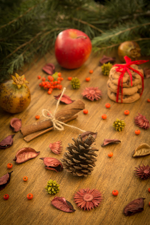 Natural ornaments for Christmas: red fruits, pomegranates, cinnamon sticks ...の写真素材