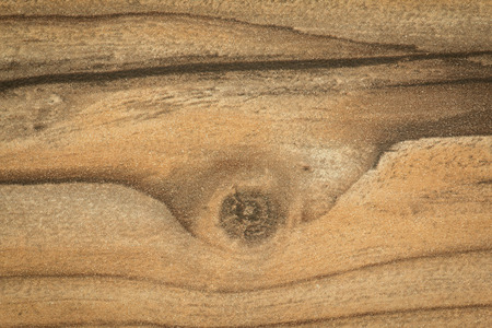 Details of a rustic wood grain for wallpaperの写真素材