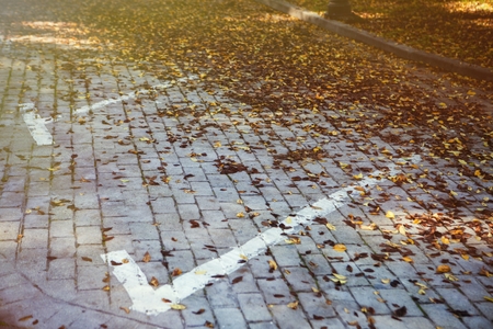 Brown parking lot autumn leavesの写真素材