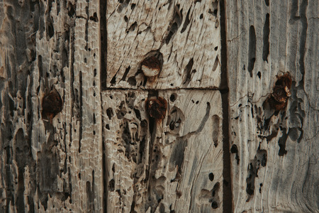 Old wood worn for use as wallpaperの写真素材