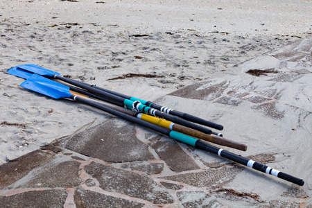 Several oars on the sand at the beachの写真素材