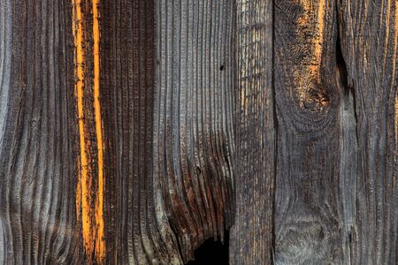Old aged wood for use as wallpaper