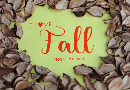 Message "I Love FALL most of All" with many dry leaves aroundの写真素材