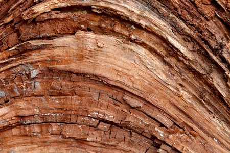 Close-up wooden cut texture with burning frameの写真素材