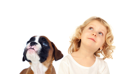 Funny blond child and his dog looking up isolated on a white backgroundの写真素材