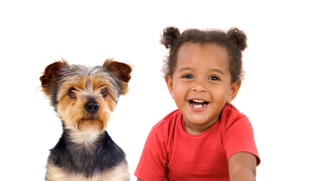 Funny Afro-American child and her dog looking at camera isolated on a white backgroundの写真素材
