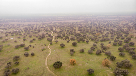 Beautiful aerial view of the coutryside in Extremaduraの写真素材