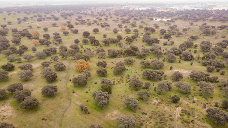 Beautiful aerial view of the coutryside in Extremaduraの写真素材