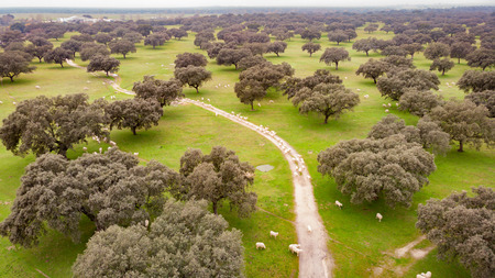 Beautiful aerial view of the coutryside in Spainの写真素材