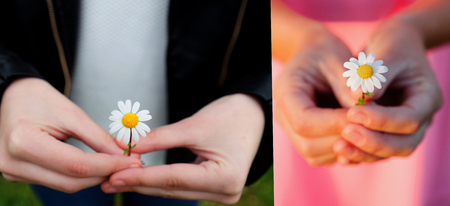 Male an female hands holding a beautiful daisy. Thinking to give it to the partner