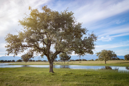 Beautiful landscape of the countryside with water, trees and a beautiful skyの写真素材
