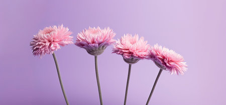 Wild spring and summer flowers on pastel purple background. Generative AIの素材