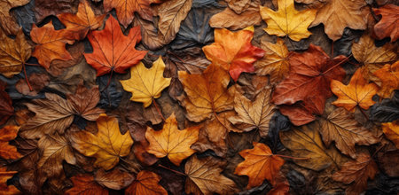 The colorful leaves in autumn. Naturalistic brown tones. Generative AIの素材