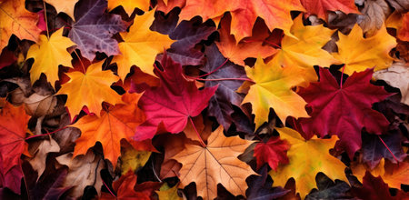 A lot of colorful leaves in the naturalistic tones. Generative AIの素材