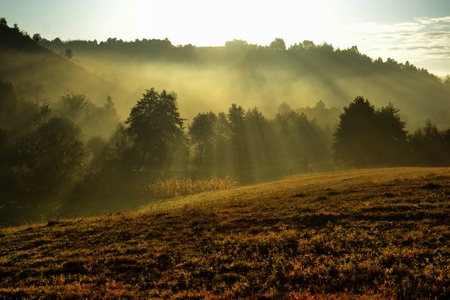 Autumn morning misty hillsの写真素材