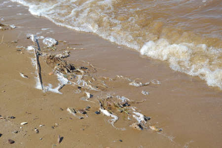 Foam on the sea shore after the storm.の写真素材