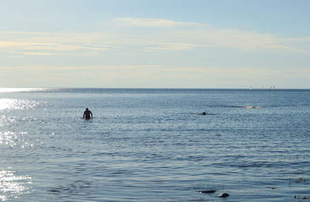Summer sea background with silhouettes of people in the water.の写真素材