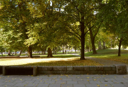 View of the city park in early autumn, walking paths, trees and yellow leaves on the sidewalk.