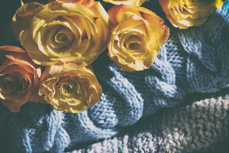 Colorful roses background - natural texture of tenderness and love from close-up of yellow-orange...